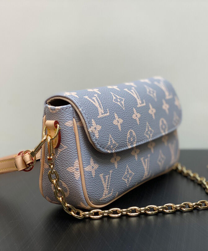 Louis Vuitton Wallet on Chain Ivy M12778 Gray